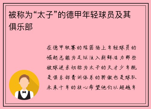 被称为“太子”的德甲年轻球员及其俱乐部