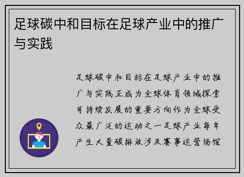 足球碳中和目标在足球产业中的推广与实践